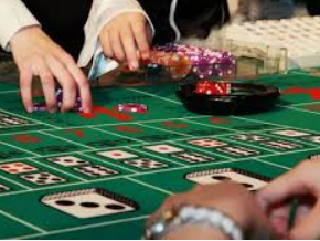 新kiyaun网页版登录电脑免费版